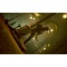 Vampire The Masquerade Bloodlines 2 First Blood Edition (PS4, русские субтитры), 226804, Приключения/экшен